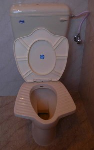 ... a hybrid toilet!