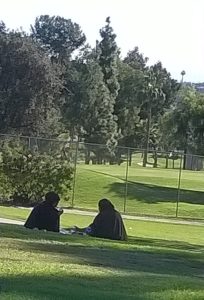 Veiled ladies in our local park enjoy a tea break